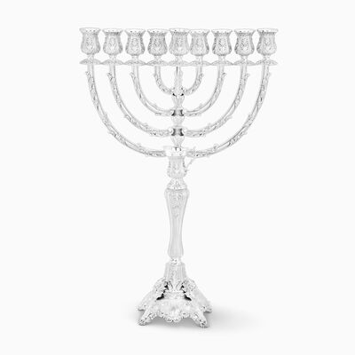 חנוכיה גונה גדולה משונמכת 