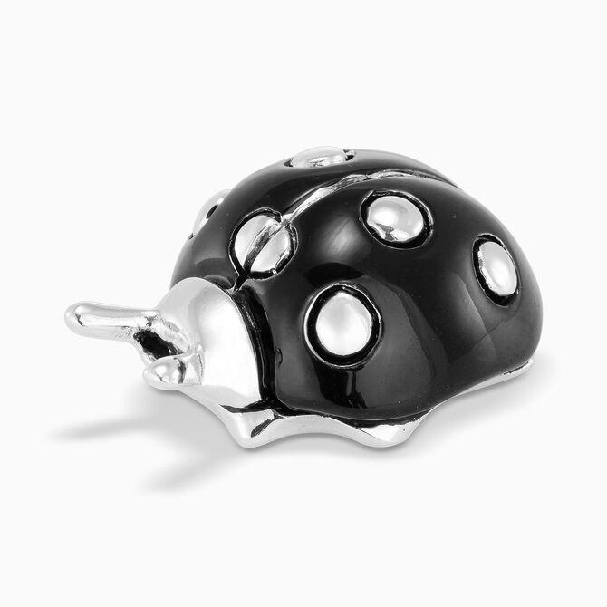 חיפושית שחורה מצופה כסף בינונית 