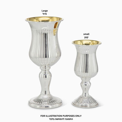 LINYA ELIYAHU CUP L PLATED _2