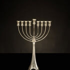 חנוכיה ליאור המרינג 