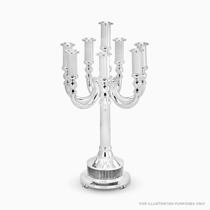 BEGALE MEDIUM CAN 9 BRA LEGACY