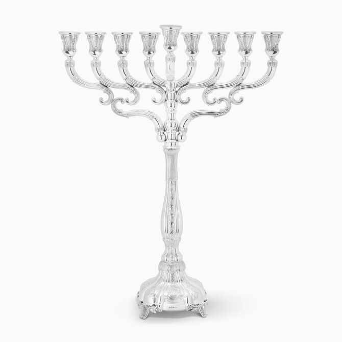חנוכיה רונלד זרועות 